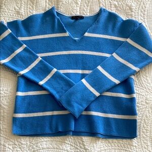 Banana Republic Blue and White V-Neck Sweater